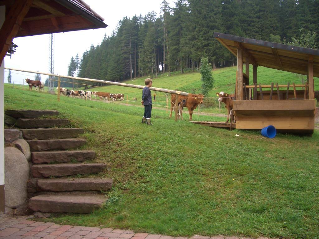 Willmannshof Apartment Furtwangen Exterior foto