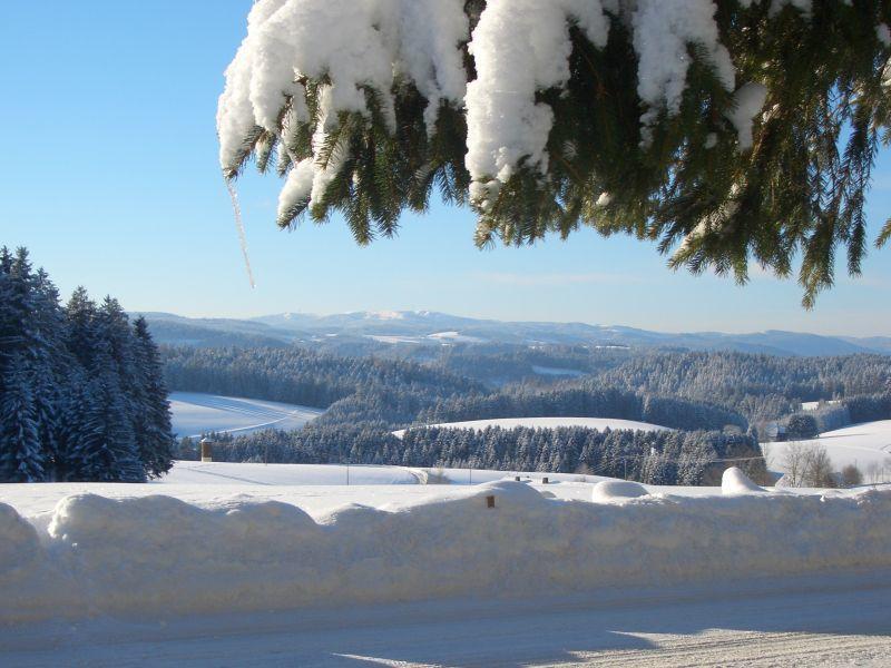 Willmannshof Apartment Furtwangen Exterior foto